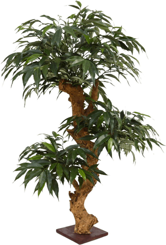 Shirakashi Bonsai x3 kunstboom op voet 80cm Bloemen Zonder Water