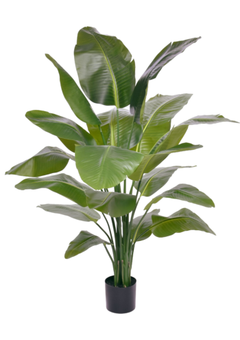 Strelitzia Nicolai XL Luxe Kunstplant 150cm